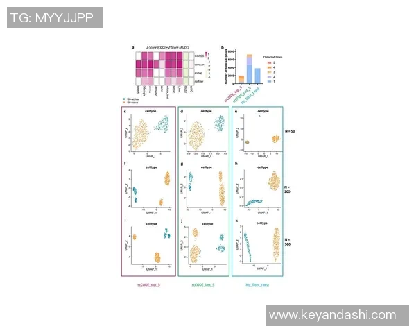 重庆篮球队团队协作表现的数据分析与策略研究