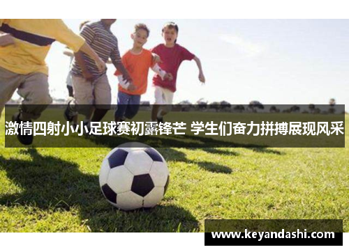 激情四射小小足球赛初露锋芒 学生们奋力拼搏展现风采