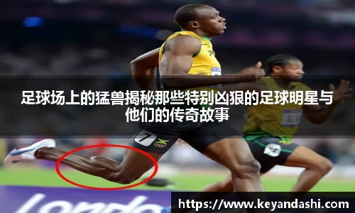 足球场上的猛兽揭秘那些特别凶狠的足球明星与他们的传奇故事